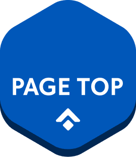 PAGE TOP